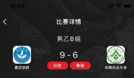 迪拜爆料网赌视频最新,一场惊心动魄的赌博风云